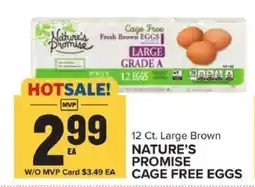 Food Lion NATURE’S PROMISE CAGE FREE EGGS offer