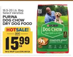 Food Lion Purina Dog Chow Dry Dog Food offer