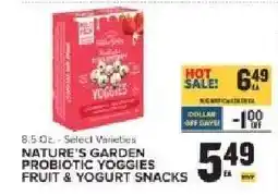 Food Lion NATURE’S GARDEN PROBIOTIC YOGGIES FRUIT YOGURT SNACKS offer
