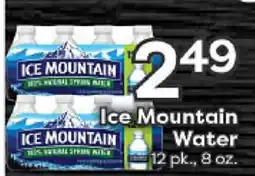 Rich's Fresh Market Ice Mountain Water offer