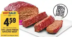 Food Lion Mvp ground fresh daily 73% lean fresh ground beef offer