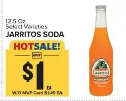 Food Lion Jarritos Soda offer
