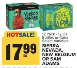 Food Lion Sierra Nevada, New Belgium or Sam Adams offer