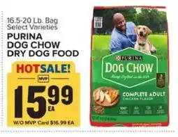 Food Lion Purina dog chow dry dog food offer