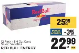 Food Lion Red Bull Energy offer