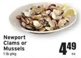 Newport Clams or Mussels