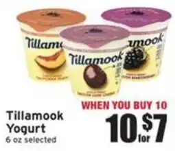 Ray's Food Tillamook Yogurt offer