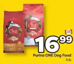 Weis Markets Purina ONE Dog Food offer