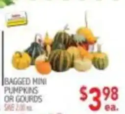 Ingles Markets Bagged Mini Pumpkins Or Gourds offer