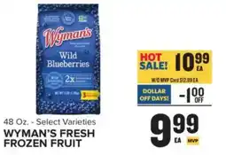 Food Lion Wyman's wild blueberries offer