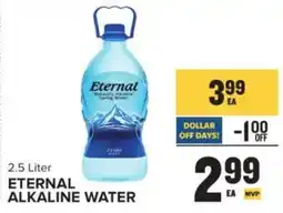 Food Lion Eternal alkaline water offer