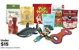 Pet Supplies Plus Select dog toys & treats offer
