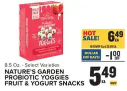 Food Lion Nature's Garden Probiotic Yoggies offer