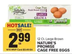 Food Lion Nature's Promise large brown cage free eggs offer