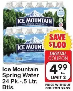 Fairplay Ice Mountain spring water offer
