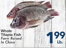 Fairplay Whole Tilapia Fish offer
