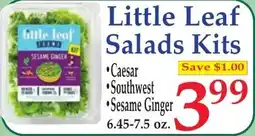 DeMoulas Market Basket Little Leaf Salads Kits offer