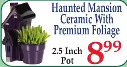 DeMoulas Market Basket Haunted Mansion Ceramic With Premium Foliage offer