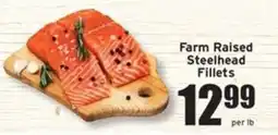 Ray's Food Farm Raised Steelhead Fillets offer