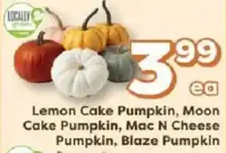 Weis Markets Locally Grown Lemon Cake Pumpkin, Moon Cake Pumpkin, Mac N Cheese Pumpkin, Blaze Pumpkin offer