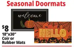 Ocean State Job Lot Seasonal Doormats 18x30 Coir or Rubber Mats offer