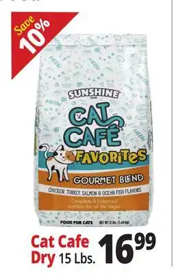Ocean State Job Lot Cat Cafe offer