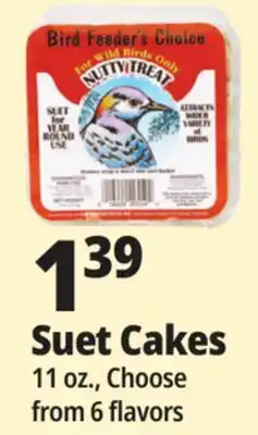 Ocean State Job Lot Suet Cakes offer