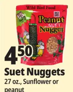 Ocean State Job Lot Suet Nuggets offer