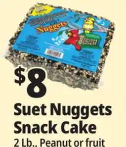 Ocean State Job Lot Suet Nuggets Snack Cake offer