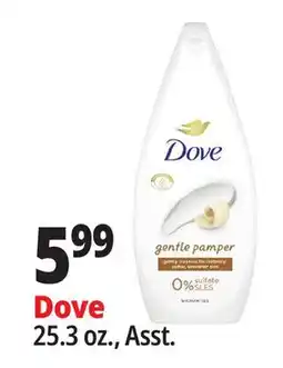 Ocean State Job Lot Dove offer