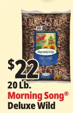 Ocean State Job Lot Morning Song Deluxe Wild offer