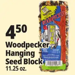 Ocean State Job Lot Woodpecker Hanging Seed Block offer