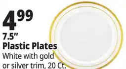Ocean State Job Lot 7.5 Plastic Plates offer