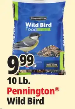 Ocean State Job Lot 10 Lb. Pennington Wild Bird offer