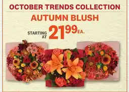 Kings Food Markets AUTUMN BLUSH offer
