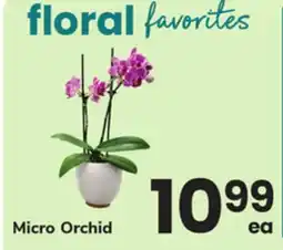 ACME Micro Orchid offer