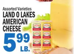 Bravo Supermarkets LAND O LAKES AMERICAN CHEESE offer