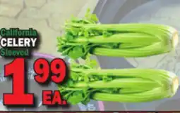 Bravo Supermarkets CELERY offer