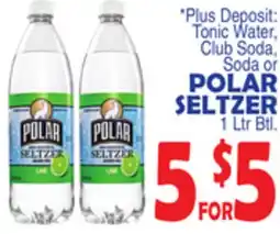 Bravo Supermarkets POLAR SELTZER offer
