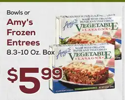 DeCicco & Sons Bowls or Amy's Frozen Entrees offer