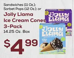 DeCicco & Sons Jolly Llama Ice Cream Cones 3-Pack offer
