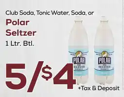 DeCicco & Sons Polar Seltzer offer