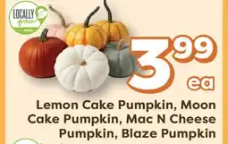 Weis Markets Lemon Cake Pumpkin, Moon Cake Pumpkin, Mac N Cheese Pumpkin, Blaze Pumpkin offer