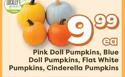 Weis Markets Pink Doll Pumpkins, Blue Doll Pumpkins, Flat White Pumpkins, Cinderella Pumpkins offer