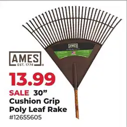 Runnings 30 Cushion Grip Poly Leaf Rake offer