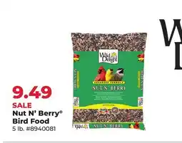 Runnings Nut N' Berry Bird Food offer
