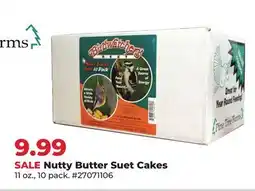 Runnings Pine Tree Farms Nutty Butter Suet Cakes offer