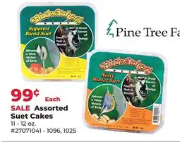 Runnings Assorted Suet Cakes offer