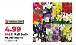 Runnings Fall Bulb Assortment offer