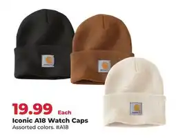 Runnings Carhartt Iconic A18 Watch Caps offer